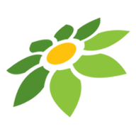 LINK SAKURA77
